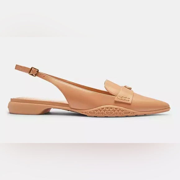 Coach Carrie Skimmer Tan Flats with Pointed Toe and Decorative Accent - Picture 4 of 5